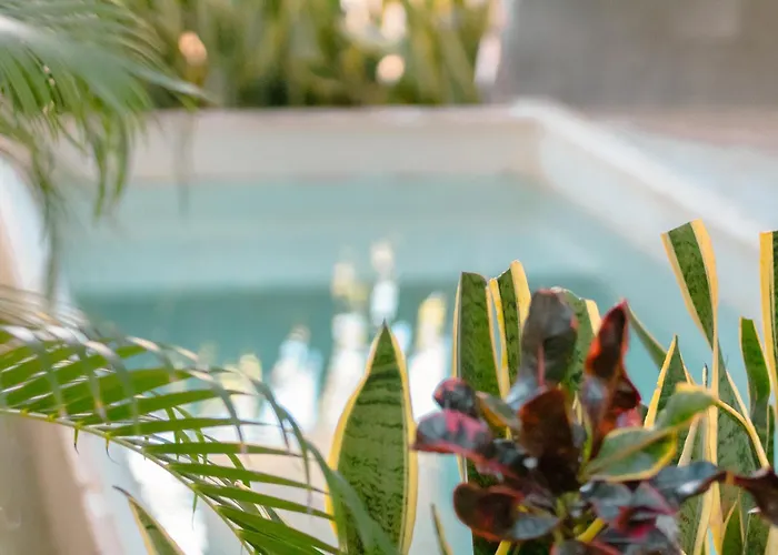 Apartment 107 Private Pool & King Bed Seremonia